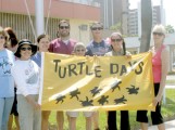 Turtle Days2 Turtle Days2