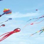 Various kites of all shapes, sizes and colors are pictured at the 13th Annual SPI Kite Fest, held Feb. 2-4 at South Padre Island on the flats just north of the Convention Centre. (Staff photos)